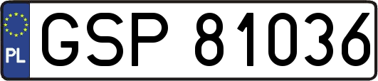 GSP81036