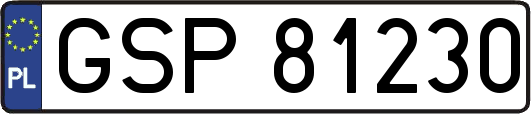 GSP81230