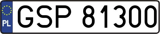 GSP81300