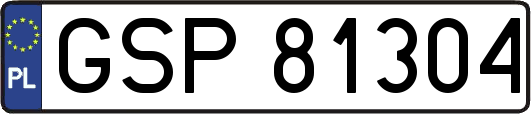 GSP81304