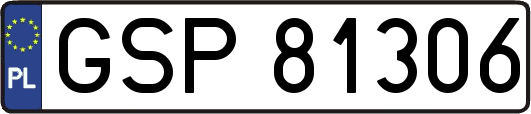 GSP81306