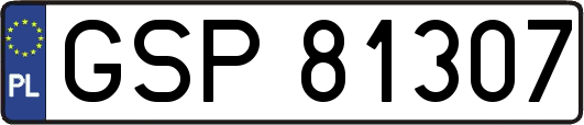 GSP81307