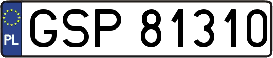 GSP81310