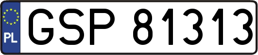 GSP81313