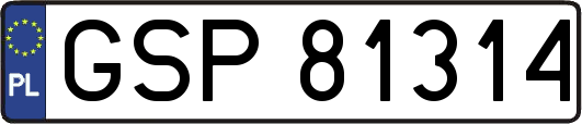 GSP81314