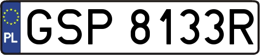 GSP8133R