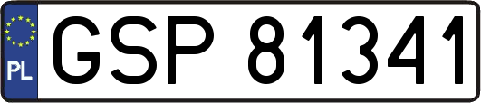 GSP81341