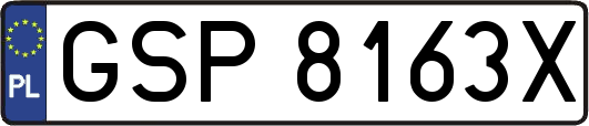 GSP8163X