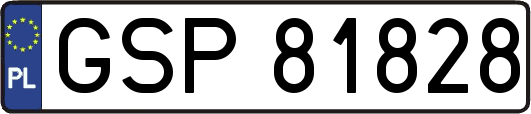 GSP81828