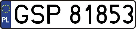 GSP81853