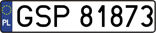 GSP81873