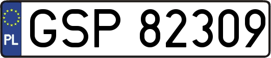 GSP82309