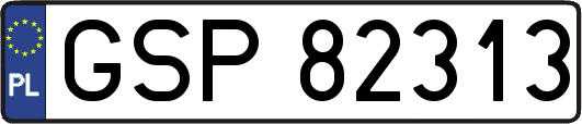 GSP82313