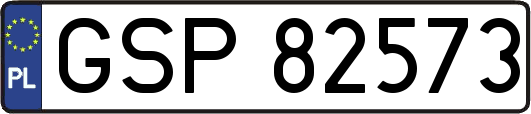 GSP82573