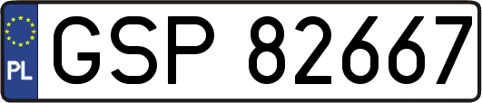 GSP82667
