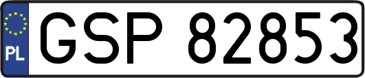 GSP82853