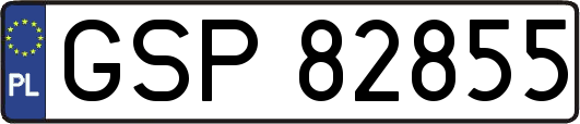 GSP82855