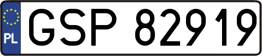 GSP82919