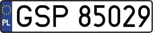 GSP85029