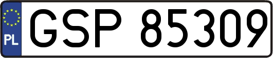 GSP85309