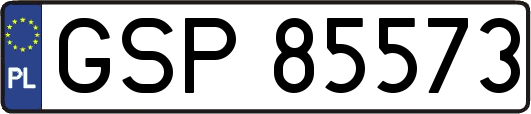 GSP85573