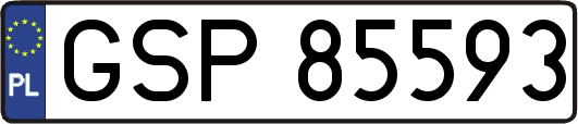 GSP85593