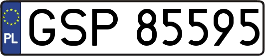 GSP85595