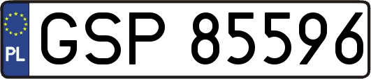 GSP85596
