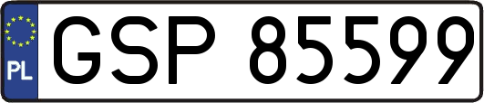 GSP85599