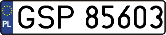 GSP85603