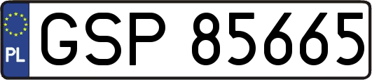 GSP85665