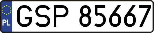 GSP85667
