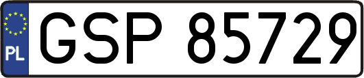 GSP85729