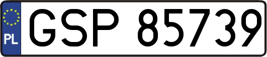 GSP85739