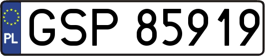 GSP85919