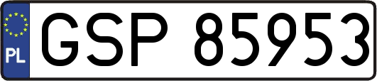 GSP85953