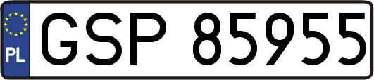 GSP85955