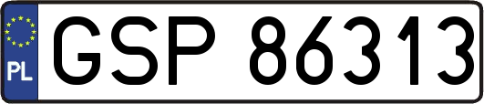 GSP86313
