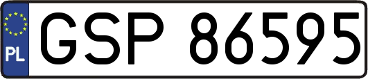 GSP86595