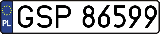 GSP86599