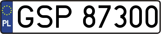 GSP87300