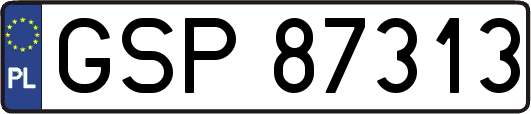 GSP87313