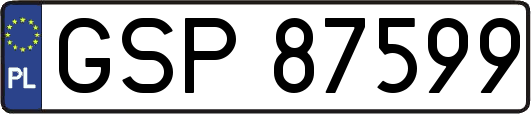 GSP87599