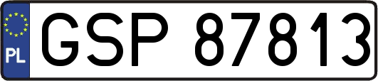 GSP87813