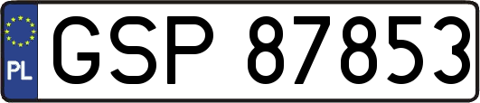 GSP87853