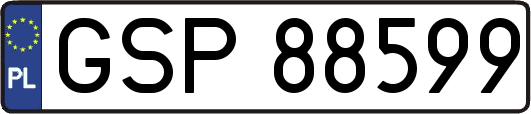 GSP88599