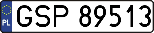 GSP89513