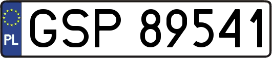 GSP89541