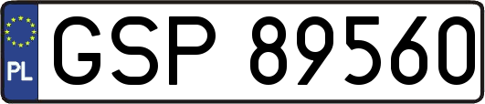 GSP89560
