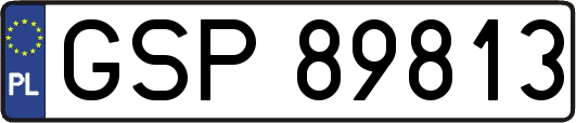 GSP89813
